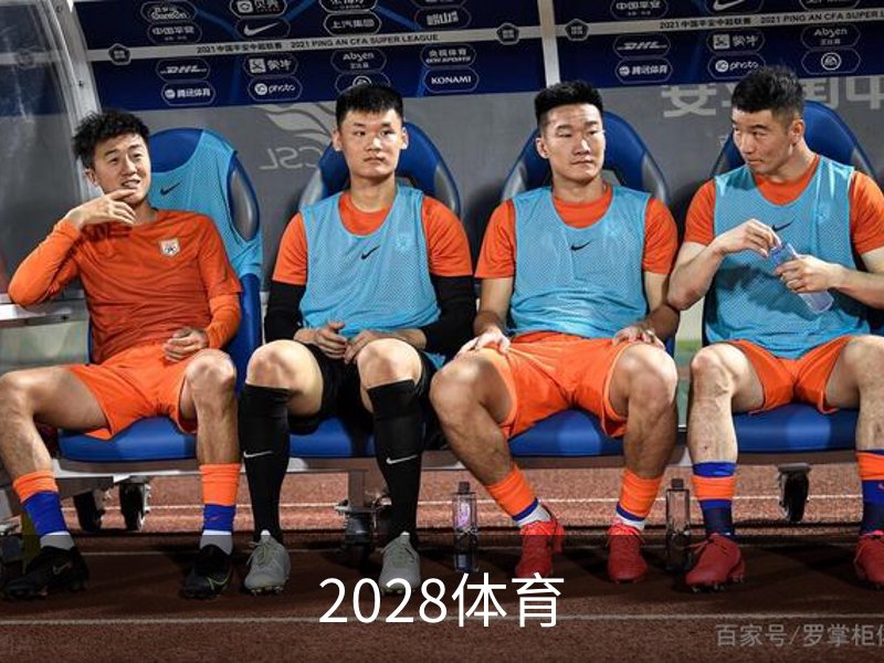 2028体育概况